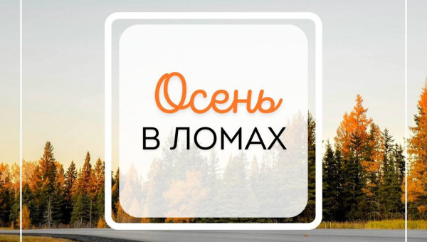 Проводите последние тёплые деньки в «Ломах»