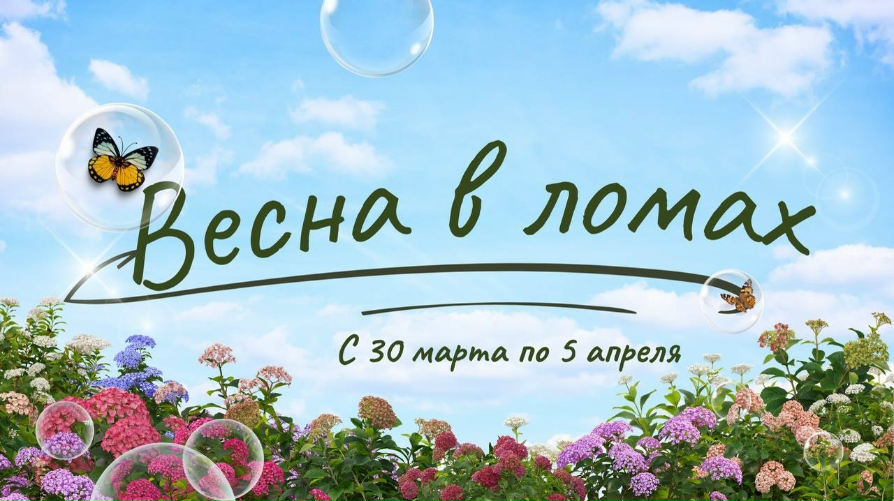 До начала весенней смены осталось ВСЕГО 5 ДНЕЙ